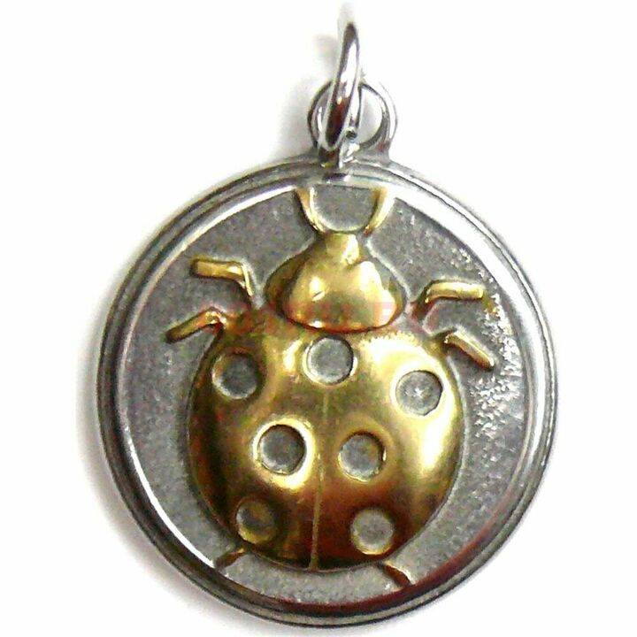 amulet ladybug - នាំមកនូវសំណាងហិរញ្ញវត្ថុ